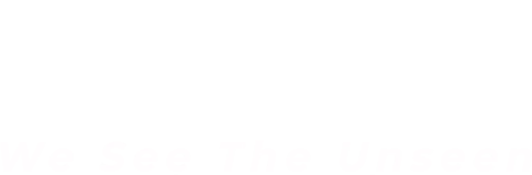 The Doctor Web S.r.l. logo